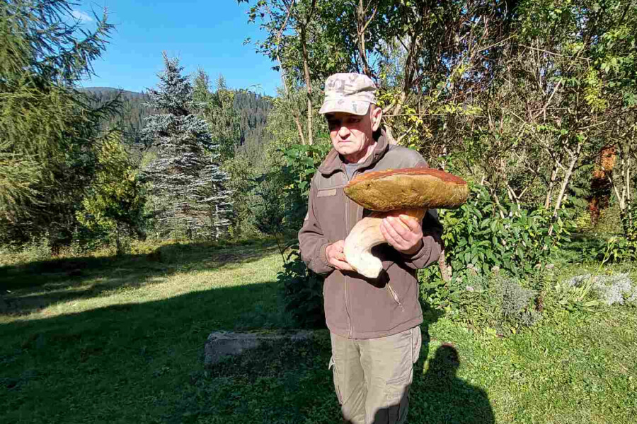 У горах Карпат знайшли гігантський гриб