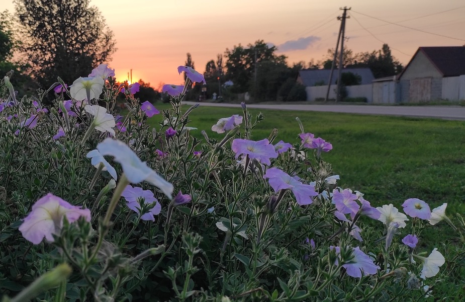 Ода любові українському селу | Колонка редакторки