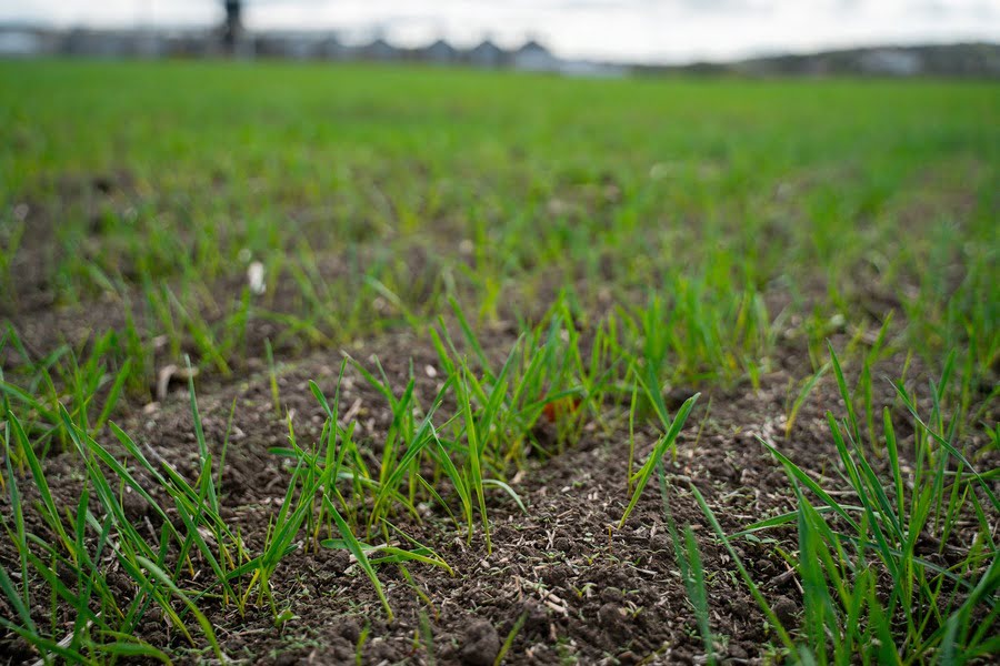 Зареєструвати земельну ділянку можна електронним листом — Держгеокадастр