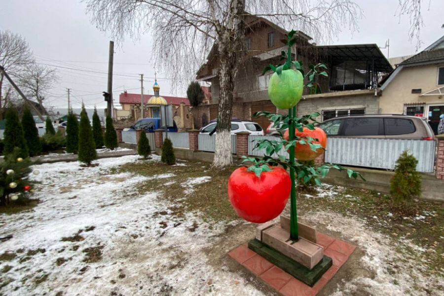У селі Городниця відкрили пам'ятник помідору