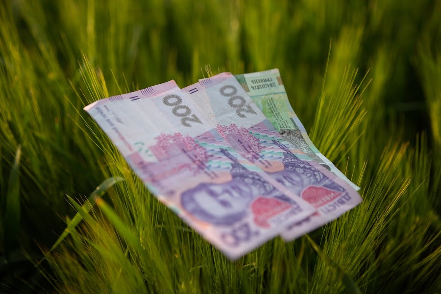 В Україні спростили процедуру купівлі землі