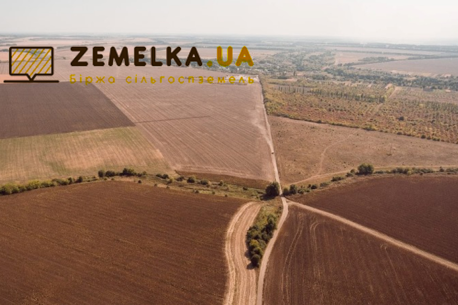 В Україні працює онлайн сервіс для продажу земель