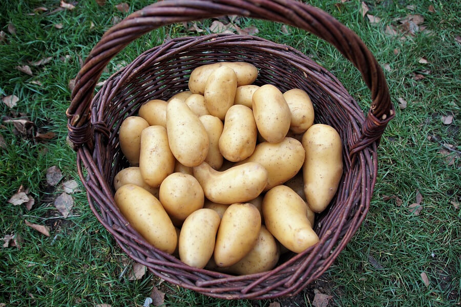 Фремерка з Черкащини передала власну картоплю літнім людям