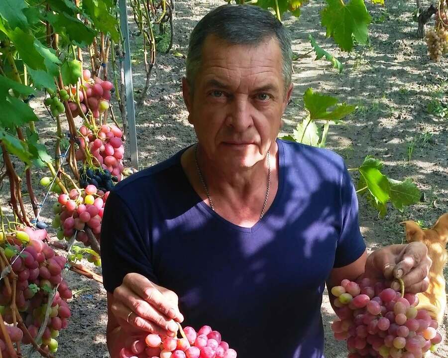 Виноградар зі своїм урожаєм