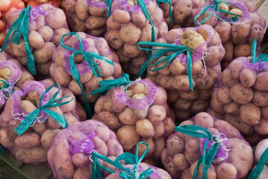 Закупівельна ціна картоплі на Чернігівщині зросла до 12 гривень за кілограм