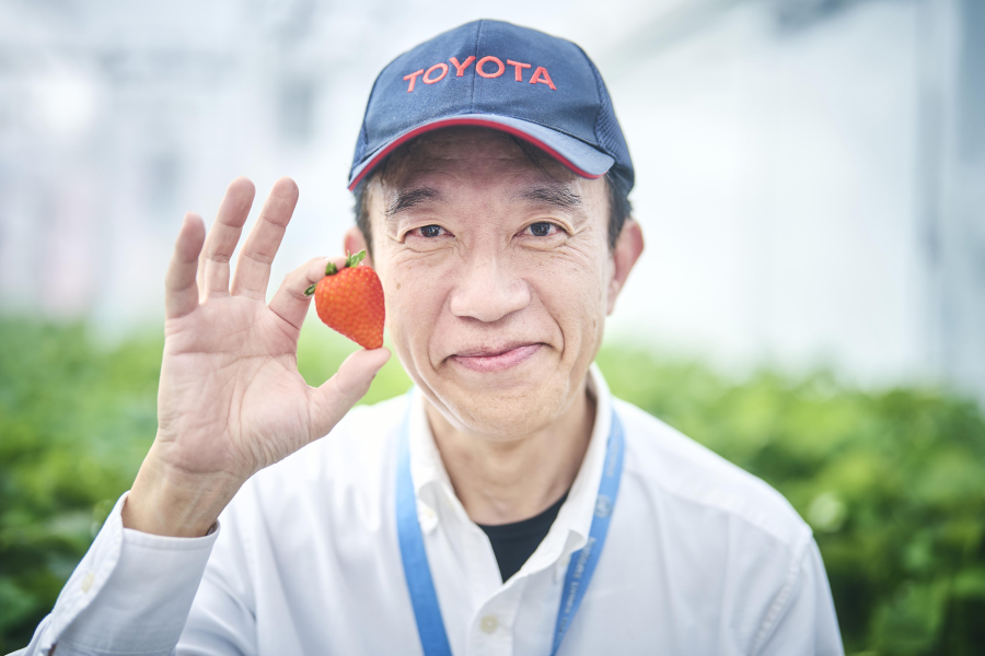 Toyota вирощує помідори і полуницю на своїх заводах
