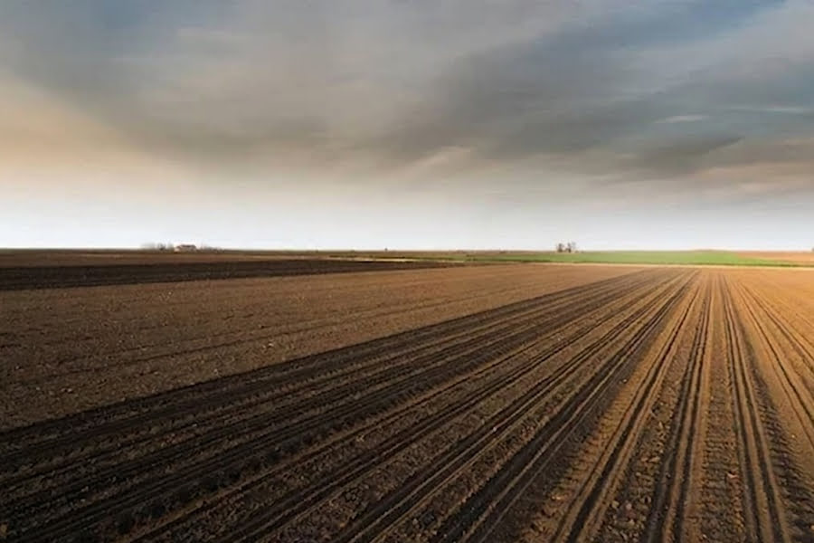 Депутати планують зниження МПЗ для фермерів прифронтових областей