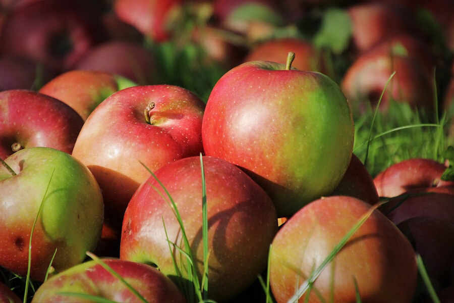 Стали відомі ціни на яблука врожаю 2021 року