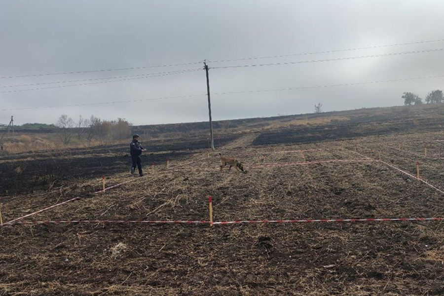 У застосунку моЄ тепер можна перевірити ділянку на ймовірне замінування