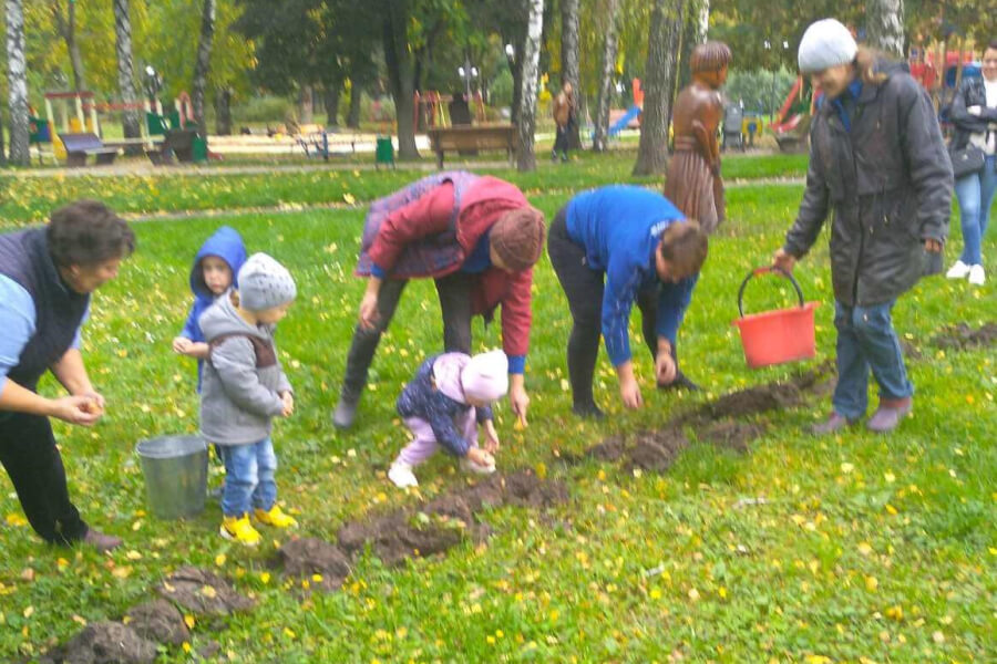  Деокупований Тростянець висадив 3 тисячі тюльпанів в міському парку