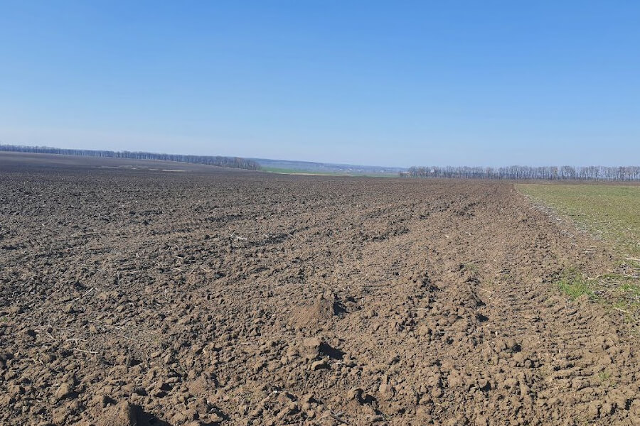 В Україні анонсували запуск ринку оренди державної землі