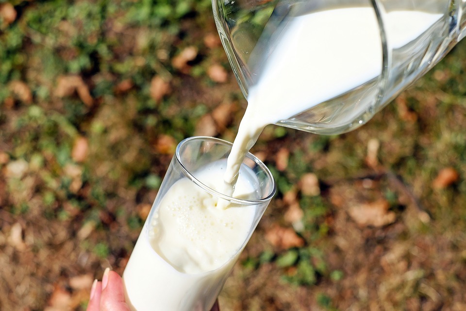 Пастеризовані молочні продукти приносять менше користі — думка