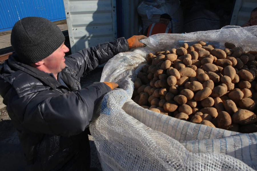 Львівщина отримала 95 тонн насіннєвої картоплі