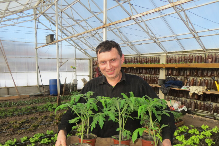 На Сумщині фермер майже 25 років вирощує органічну городину