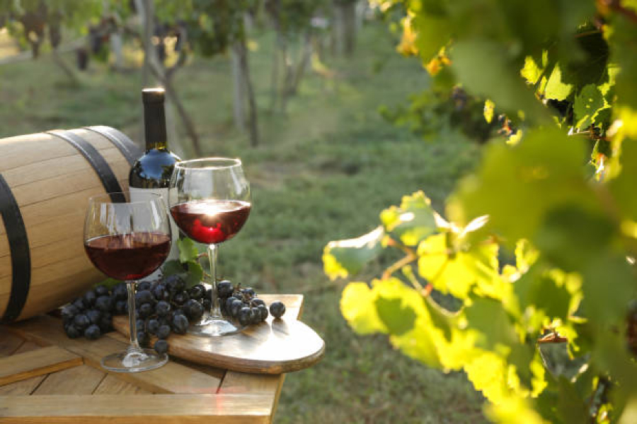Виноград та вино