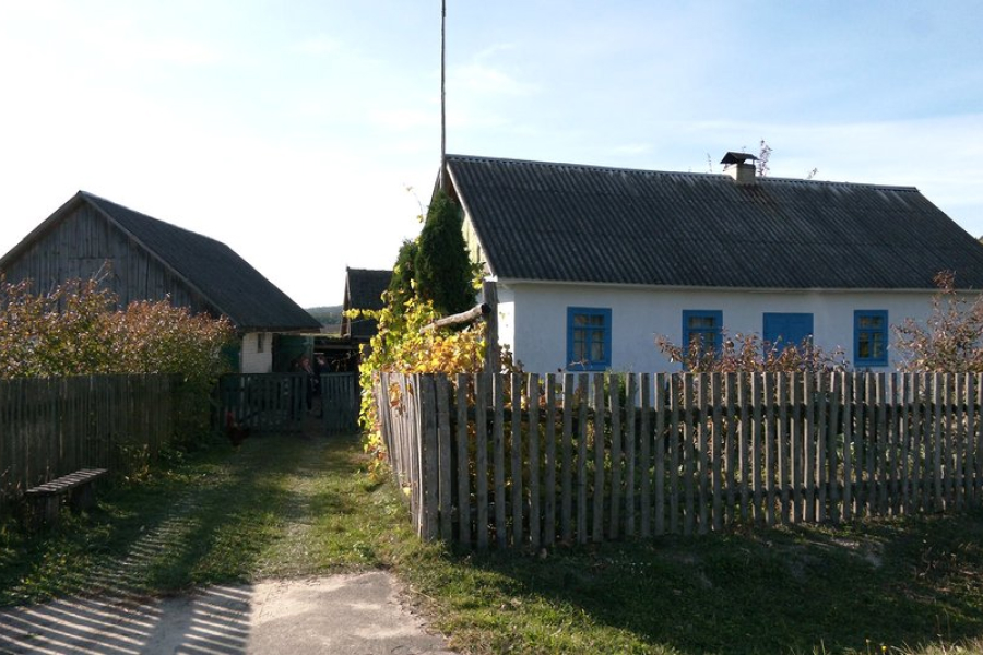 Будинок в селі