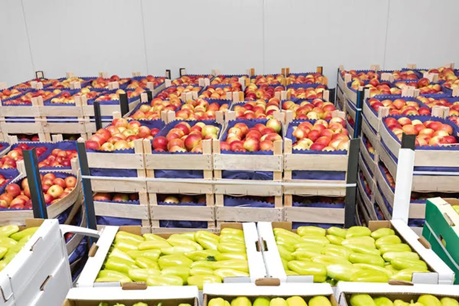 Гранти на будівництво сховищ: Уряд запускає нову програму підтримки аграріїв