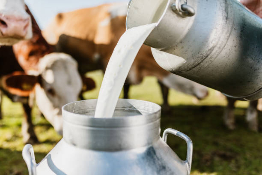 Попит на експорт молока збільшив закупівельну ціну