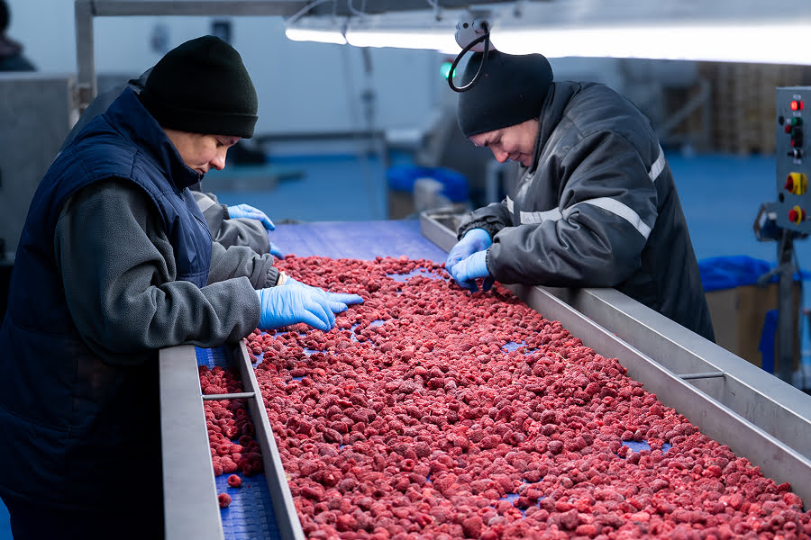 Заморожена малина