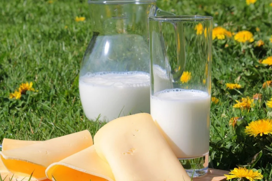 На Вінниччині громада створила крафтове виробництво сиру