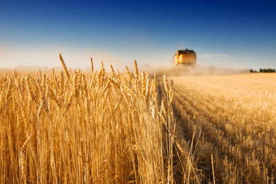 росія відмовляється дотримуватися умов зернової угоди — Кубраков