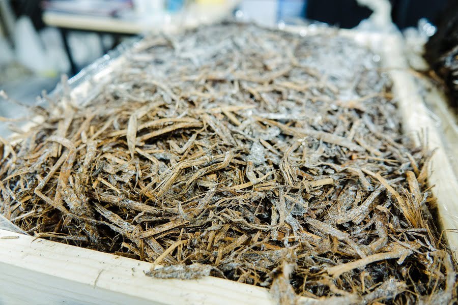 Компост для шампіньйонів