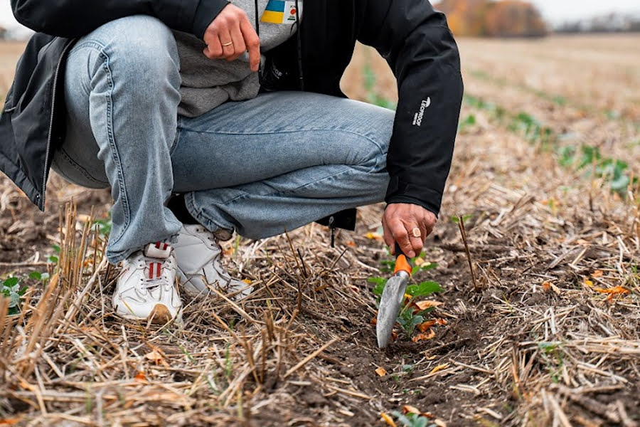 В Україні запрацювала Виплатна агенція для фермерів