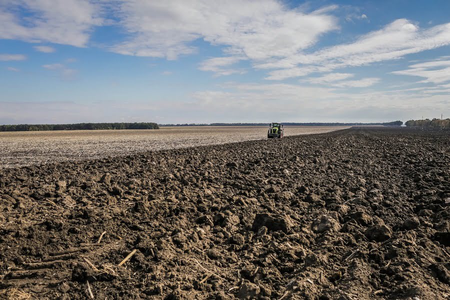 Скільки коштує гектар землі в Україні у доларах: Київщина лідирує