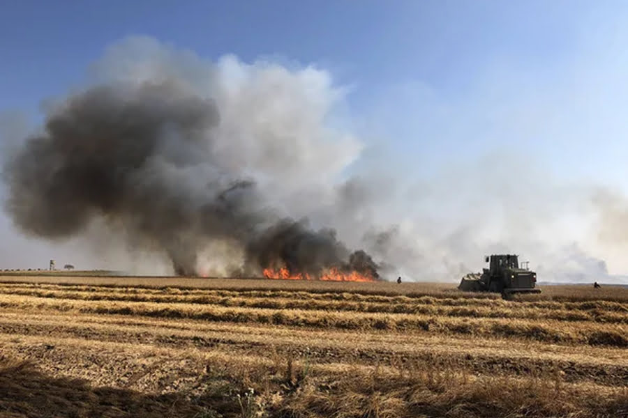 Компенсація за втрачений врожай: аграрії отримають до 4700 грн за гектар