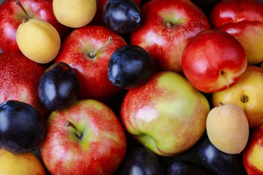 Садівникам поновили експорт фруктів до ЄС