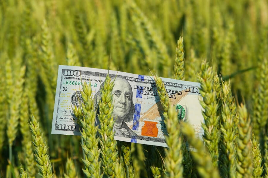 Українські фермери можуть розраховувати на держпідтримку у 2023 році