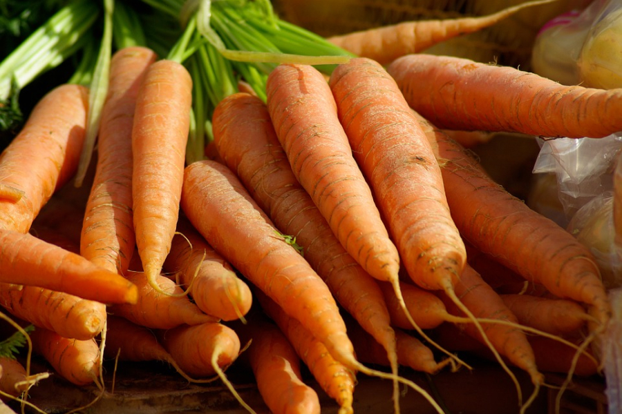Дачникам розповіли про 5 поширених хвороб моркви