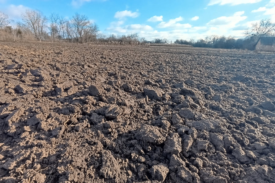 Малі та середні фермери стали головними гравцями на ринку державної землі 