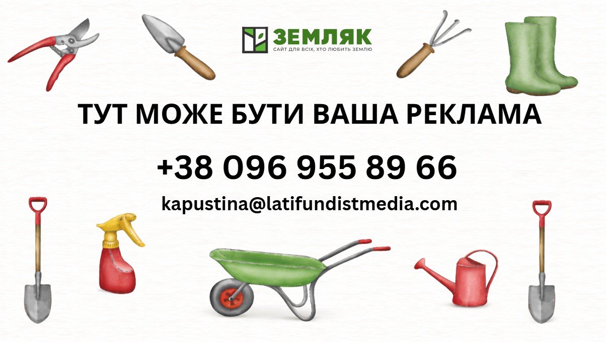 Оголошення про рекламу