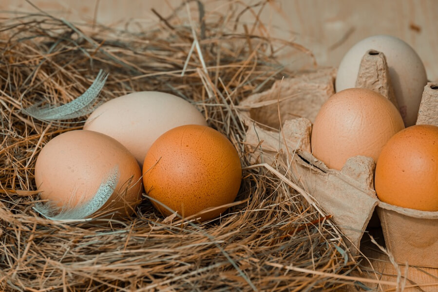 Ціна на яйця в Україні поступово зменшилась