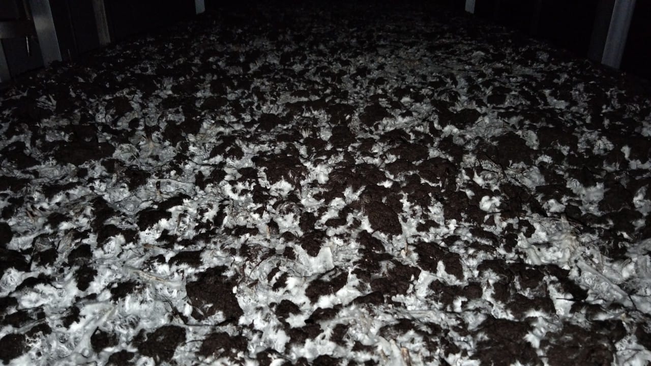 Компост для шампіньйонів