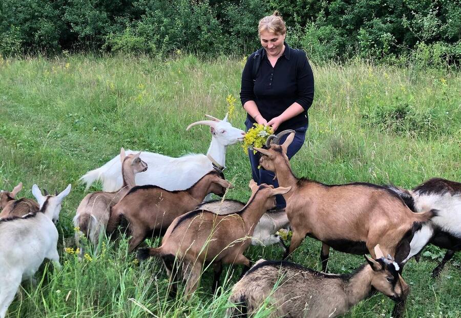  Біодинаміка та Slow Food на Прикарпатті: як працює «Мірина майстерня сиру» в селі Троїця