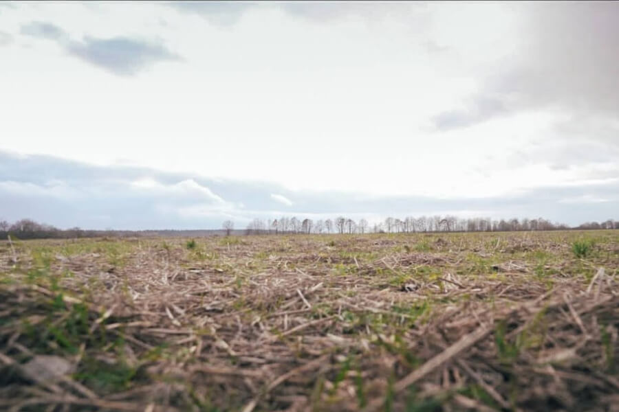 Фермер з Миколаївщини затримує орендну плату за землю — пайовики