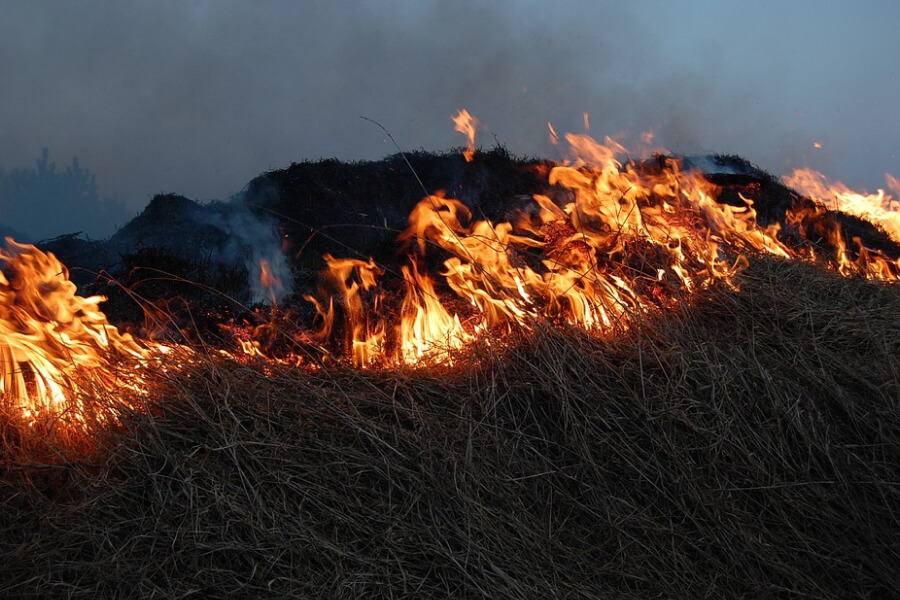 Львівський суд зобов'язав палія трави виплатити пожежникам 134 тисячі гривень