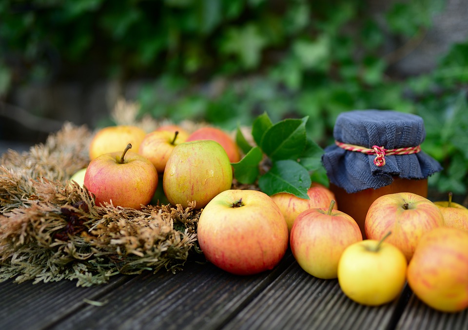 Сорти яблук зі стійким імунітетом стають популярними серед садівників