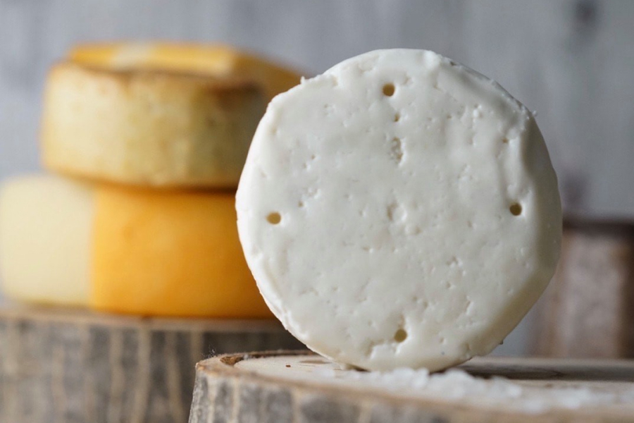 Ферма KozzziMoni на місяць виготовляє понад 300 кг сиру