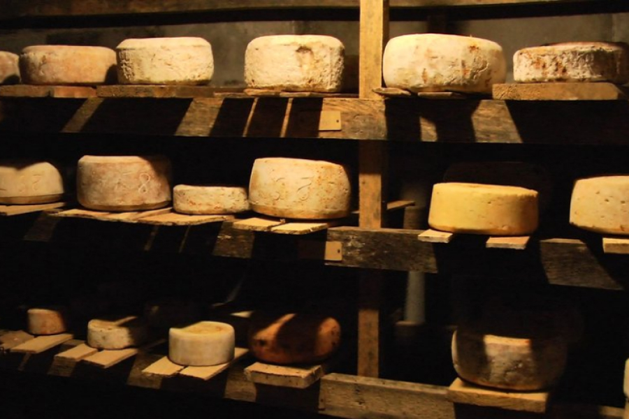 На Хмельниччині фермер виготовляє 12 видів козячого сиру