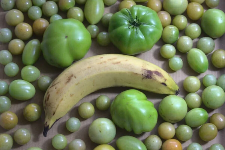 Знавці розповіли, для чого до зелених помідорів кладуть банани