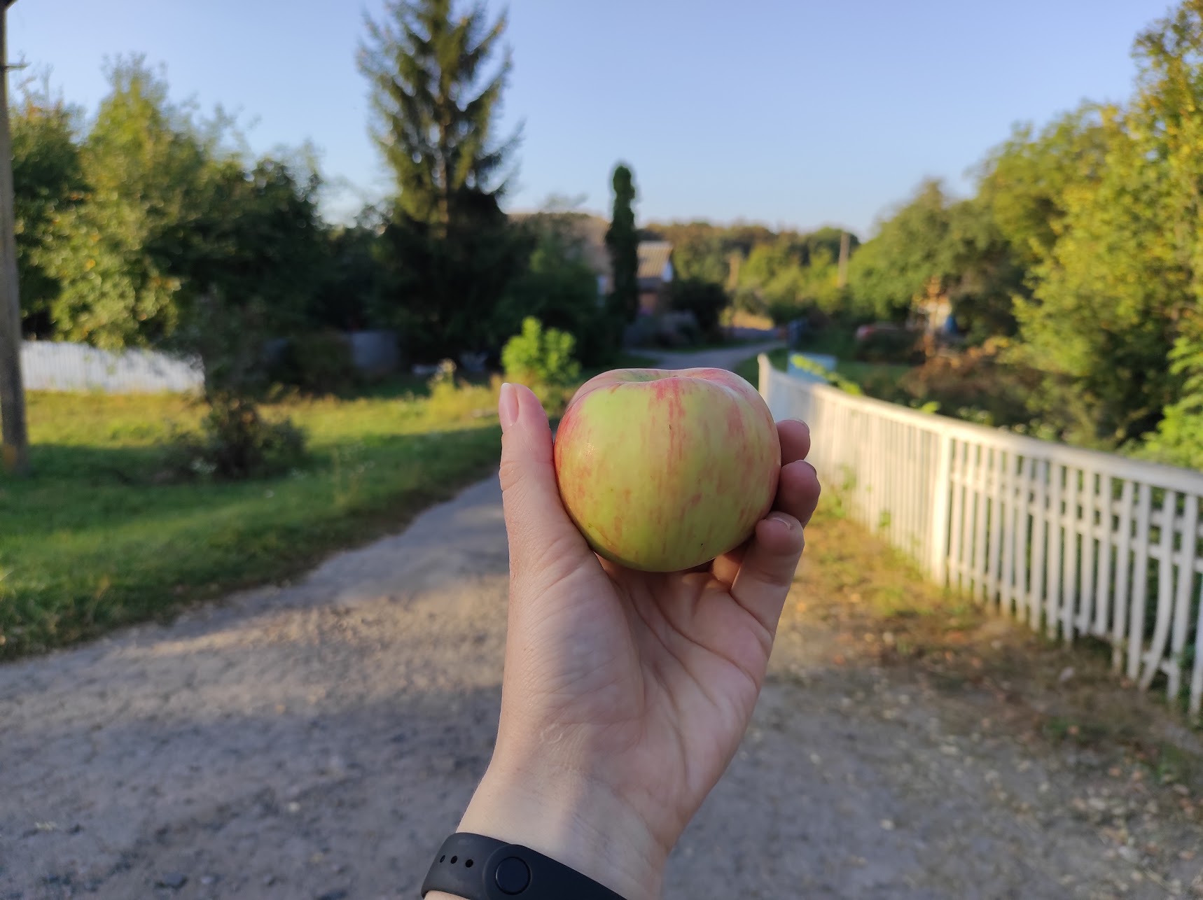 Яблуко в руці