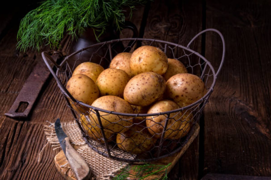 В Україні картопля продовжує дешевшати
