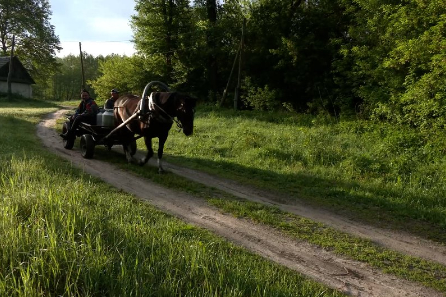 Замість молоковозів селяни на Чернігівщині використовують підводи