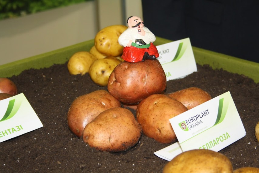 На Херсонщині відбувся фестиваль картоплі
