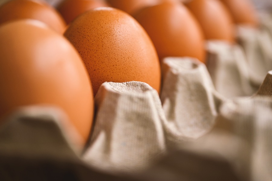 В Україні знизились ціни на яйця — Висоцький