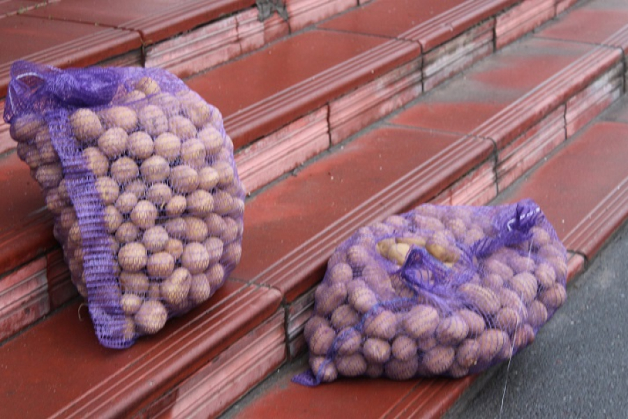 На Вінниччині громада отримала картоплю для ініціативи Сади Перемоги