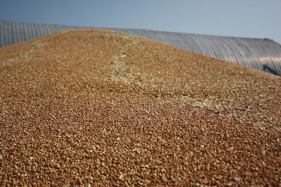 Земельне сховище для зерна може стати альтернативою під час війни